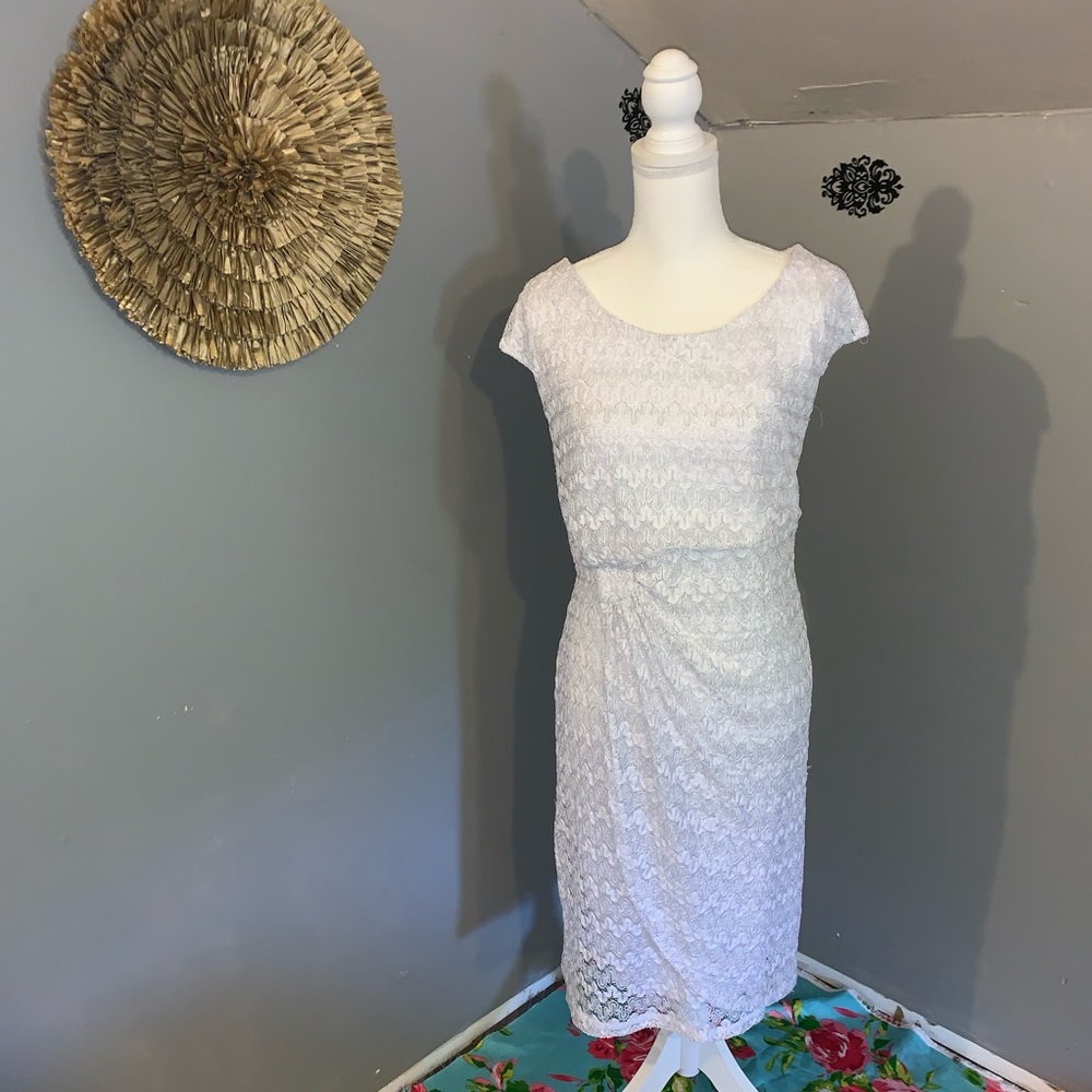 Elegant Lace Dress